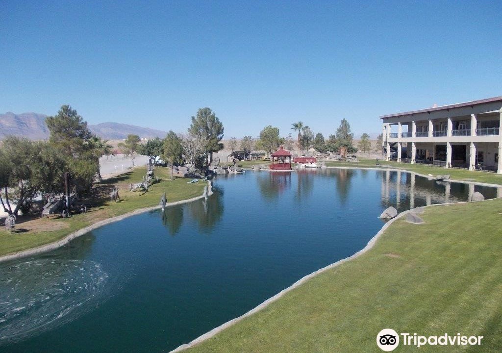 Photo of Outdoor in Amargosa Valley