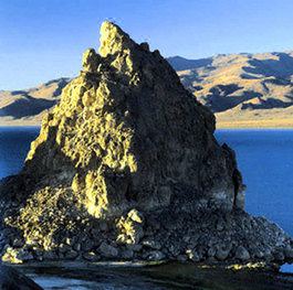 Photo of Others in Fernley