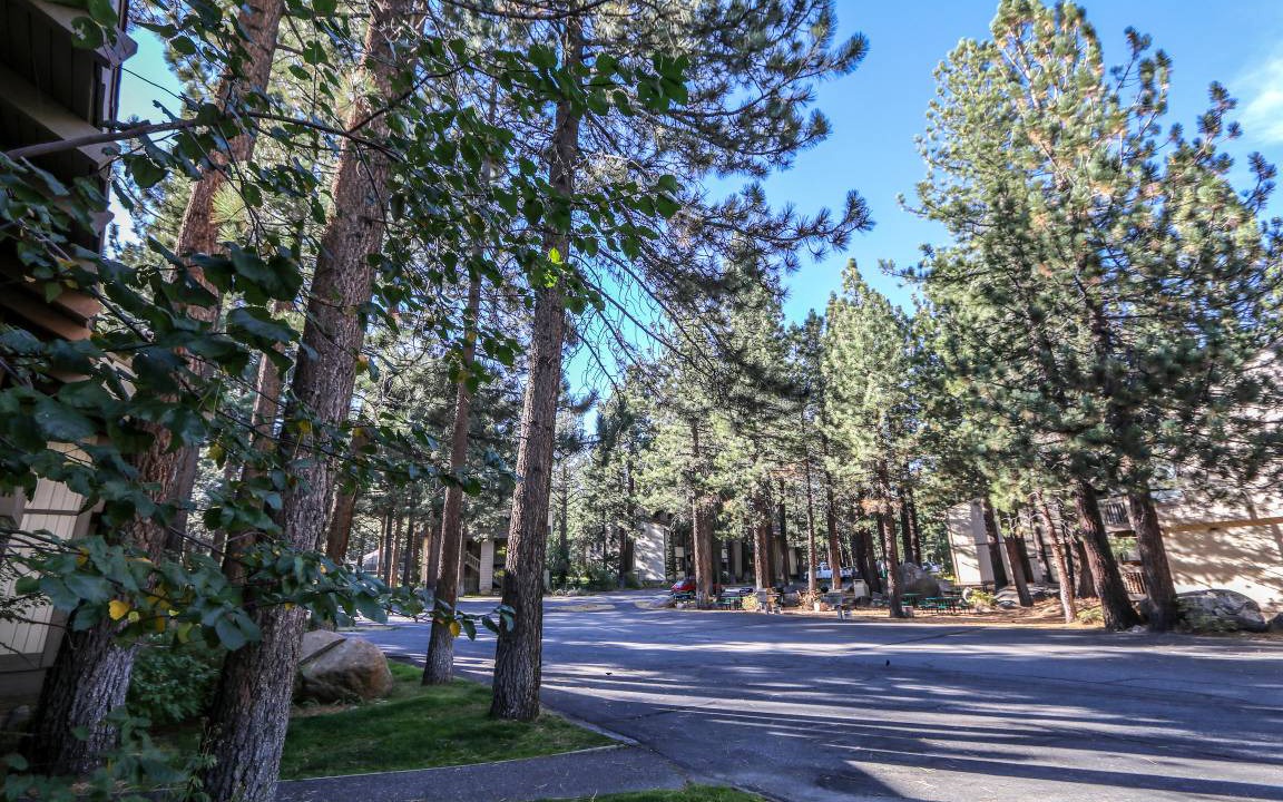 Photo of Others in Sierra Holiday