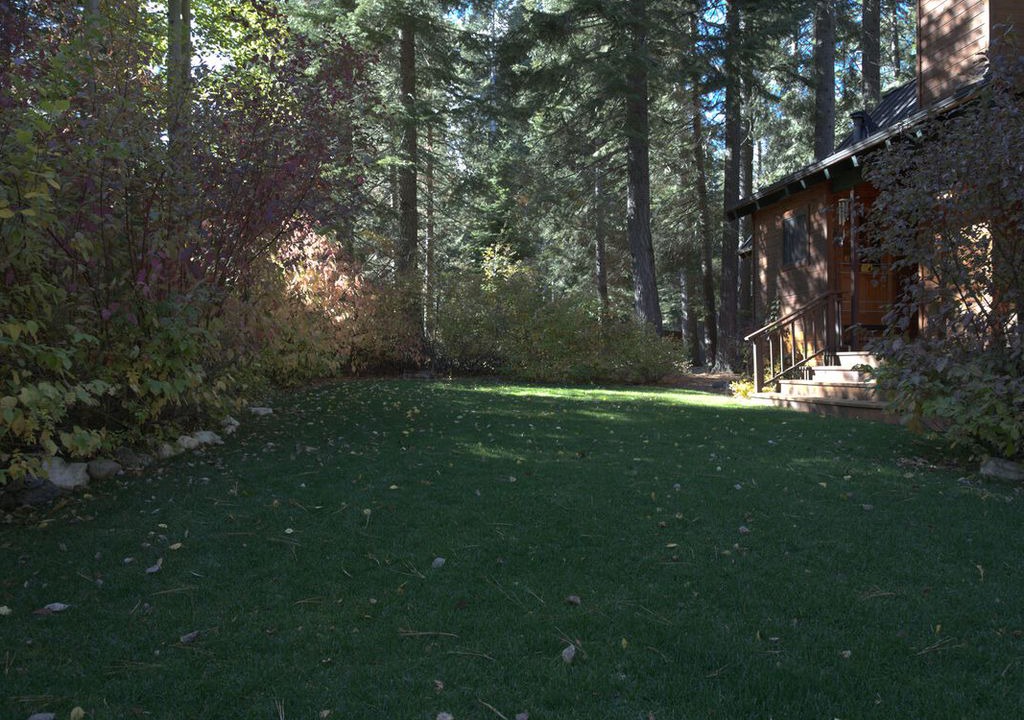 Photo of Others in Tahoe Pines