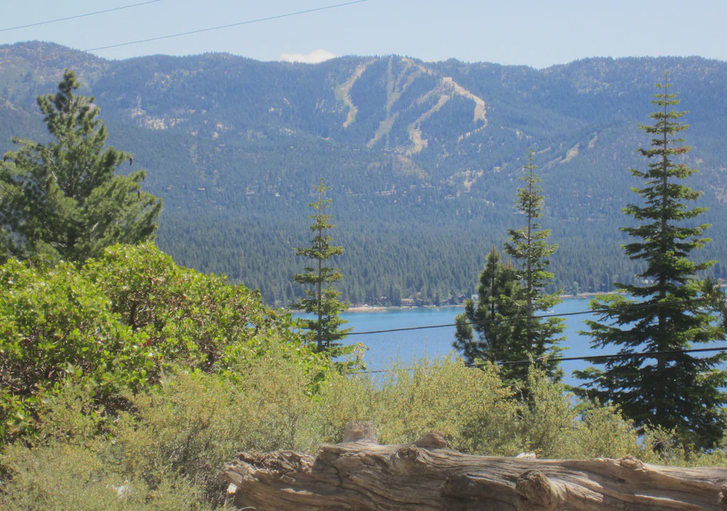 Photo of Others in Incline Village