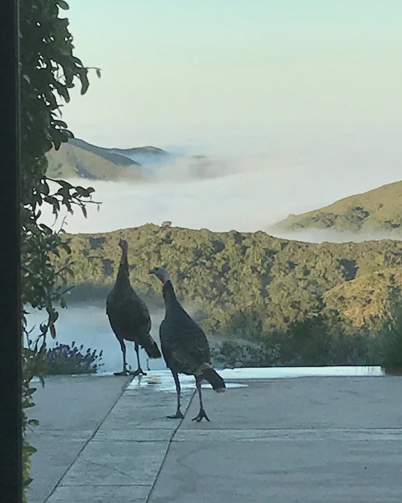Photo of Others in Atascadero