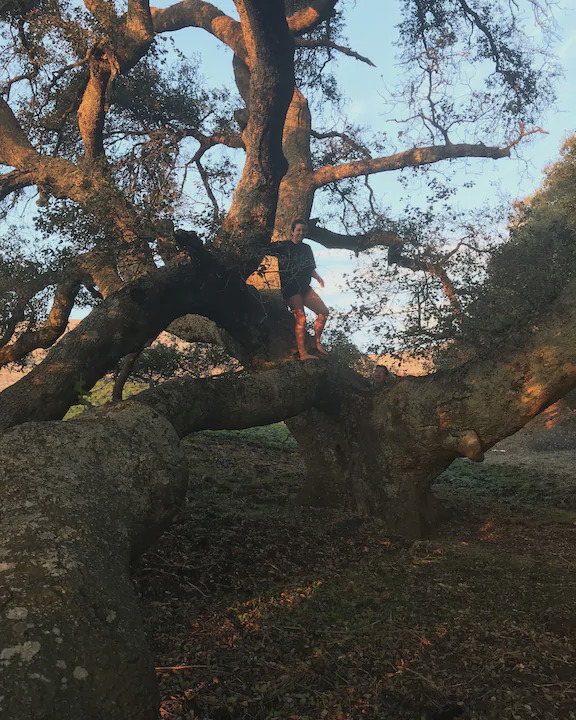 Photo of Others in Atascadero