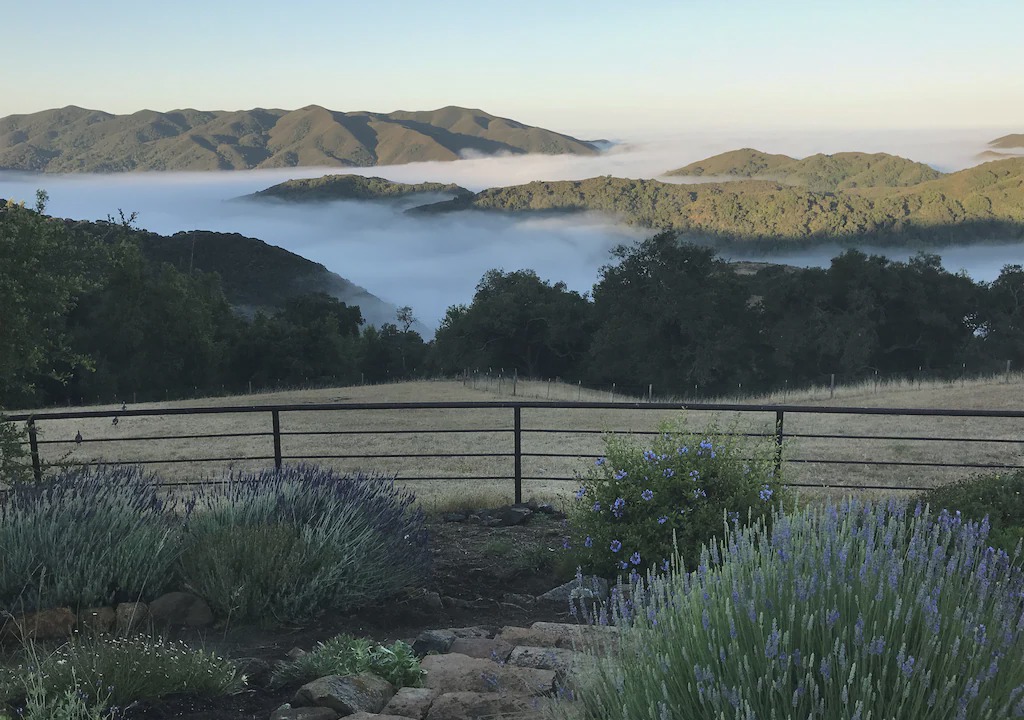 Photo of Others in Atascadero