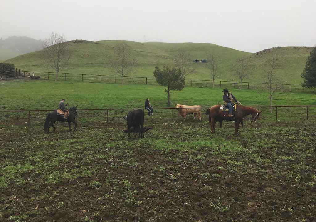 Photo of Others in Atascadero