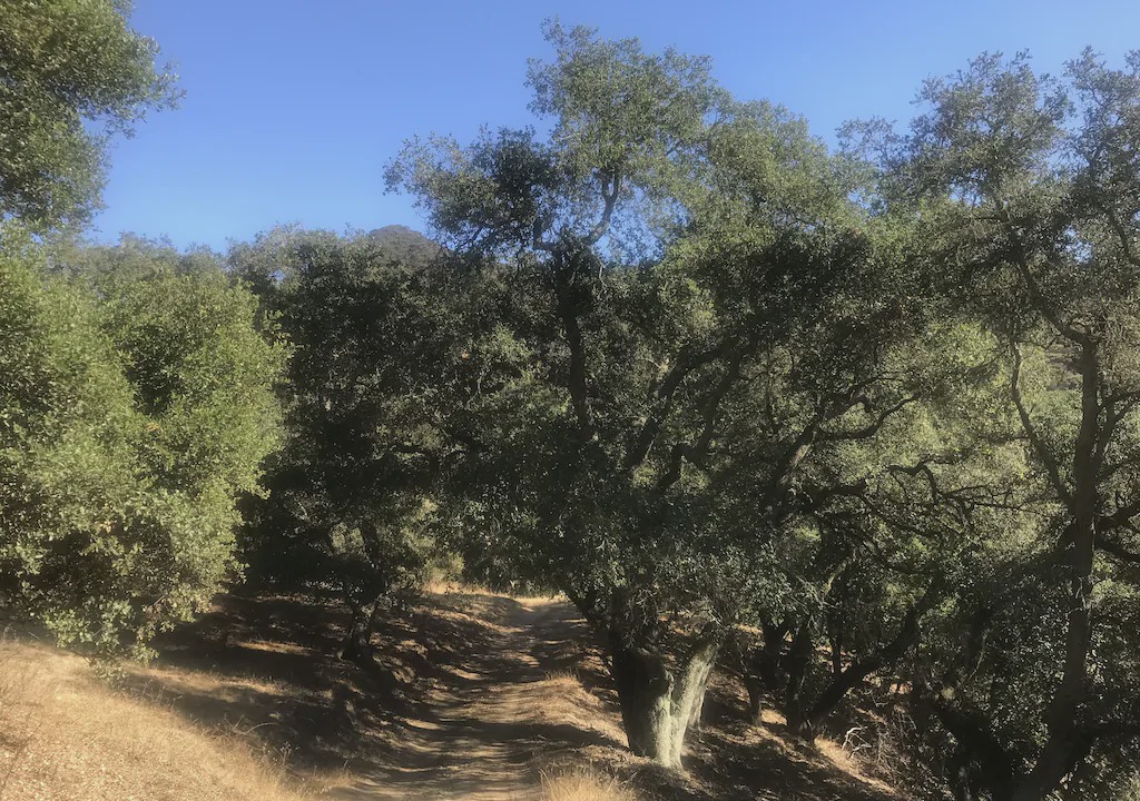 Photo of Others in Atascadero