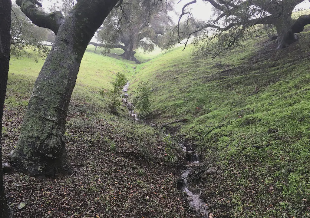 Photo of Others in Atascadero