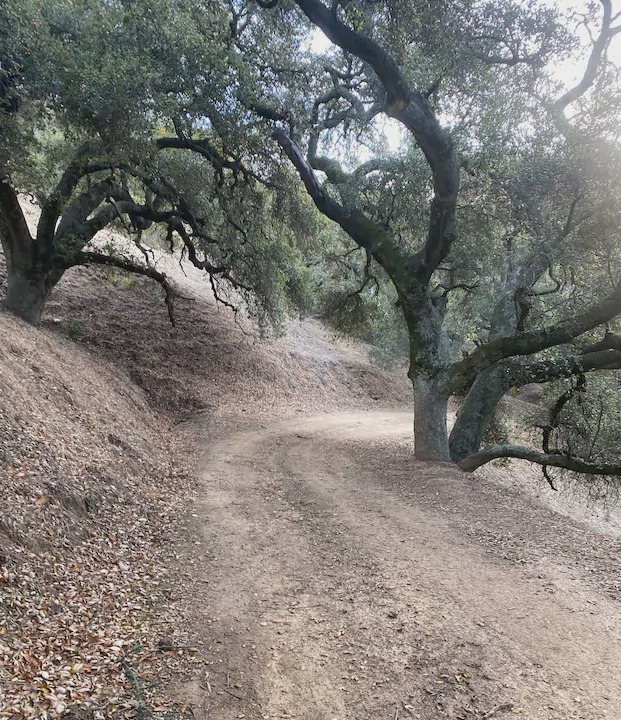 Photo of Others in Atascadero