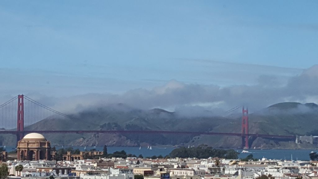 Photo of Outdoor in Cow Hollow