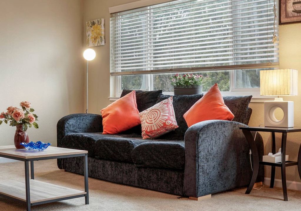 Photo of Livingroom in San Bruno