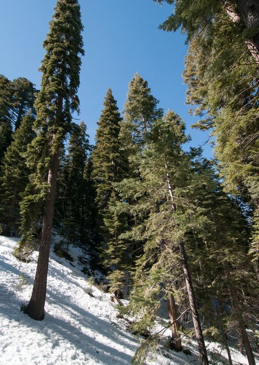 Photo of Outdoor in Homewood