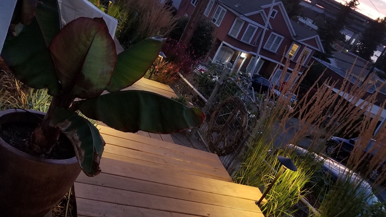 Photo of Patio Balcony in Crockett