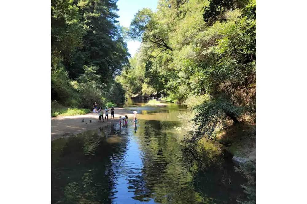 Photo of Outdoor in Felton