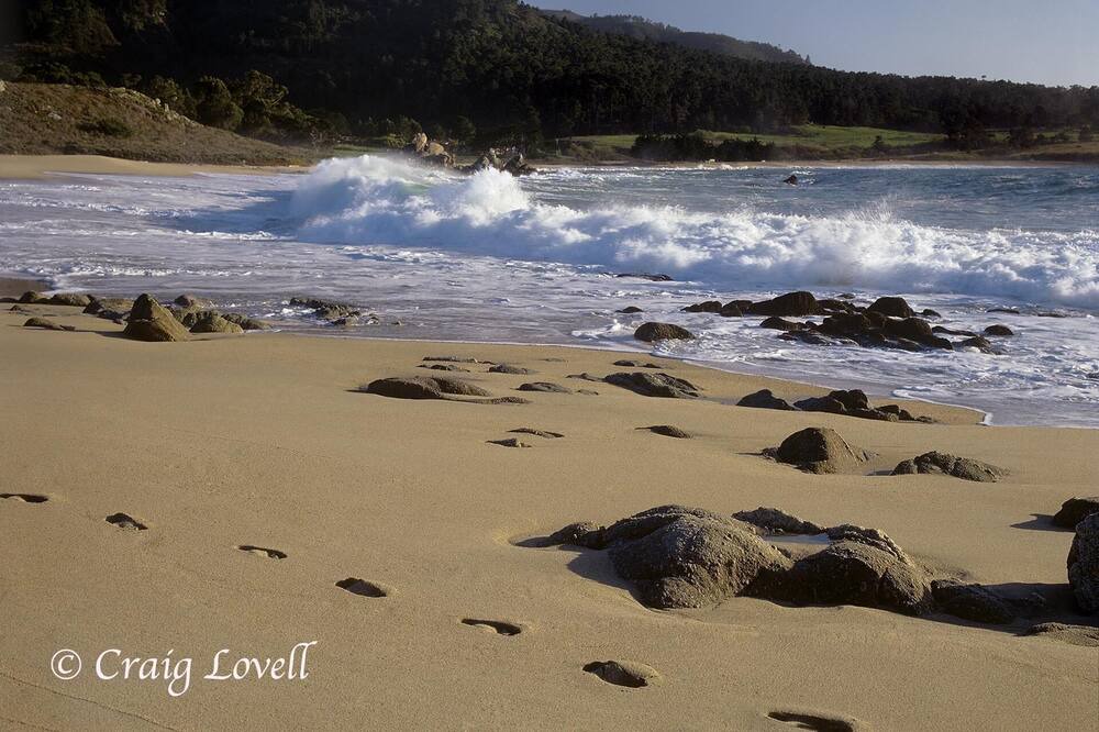 Photo of Others in Carmel Valley