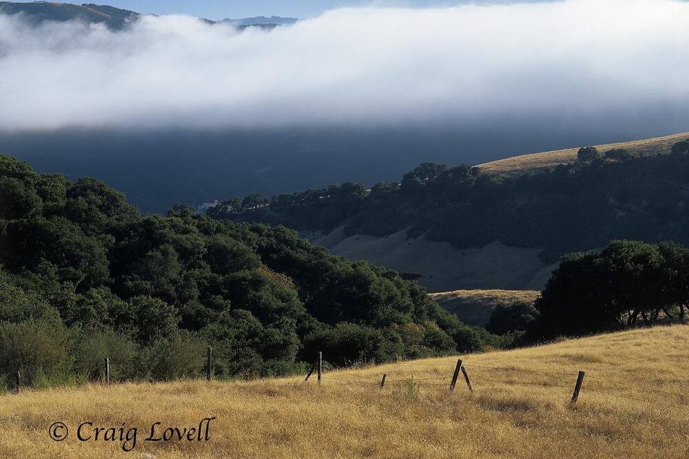 Photo of Outdoor in Carmel Valley