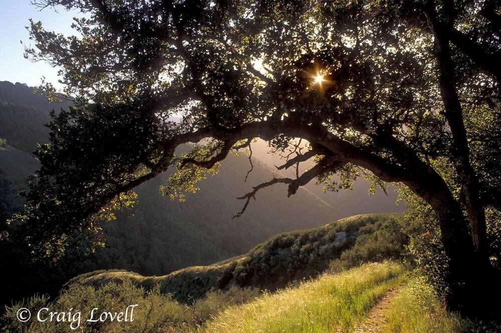 Photo of Others in Carmel Valley