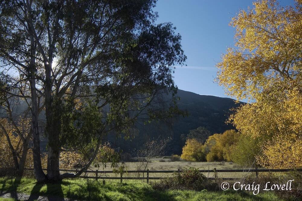 Photo of Others in Carmel Valley