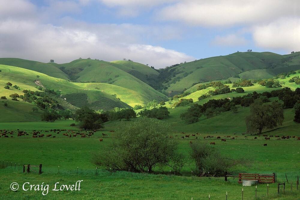 Photo of Others in Carmel Valley