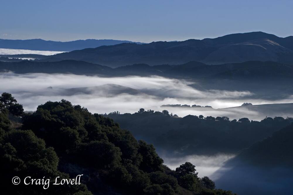 Photo of Outdoor in Carmel Valley