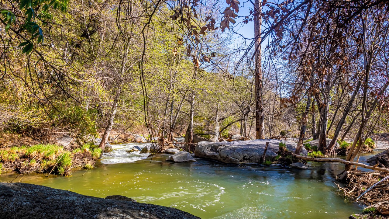 Photo of Others in Yosemite Forks