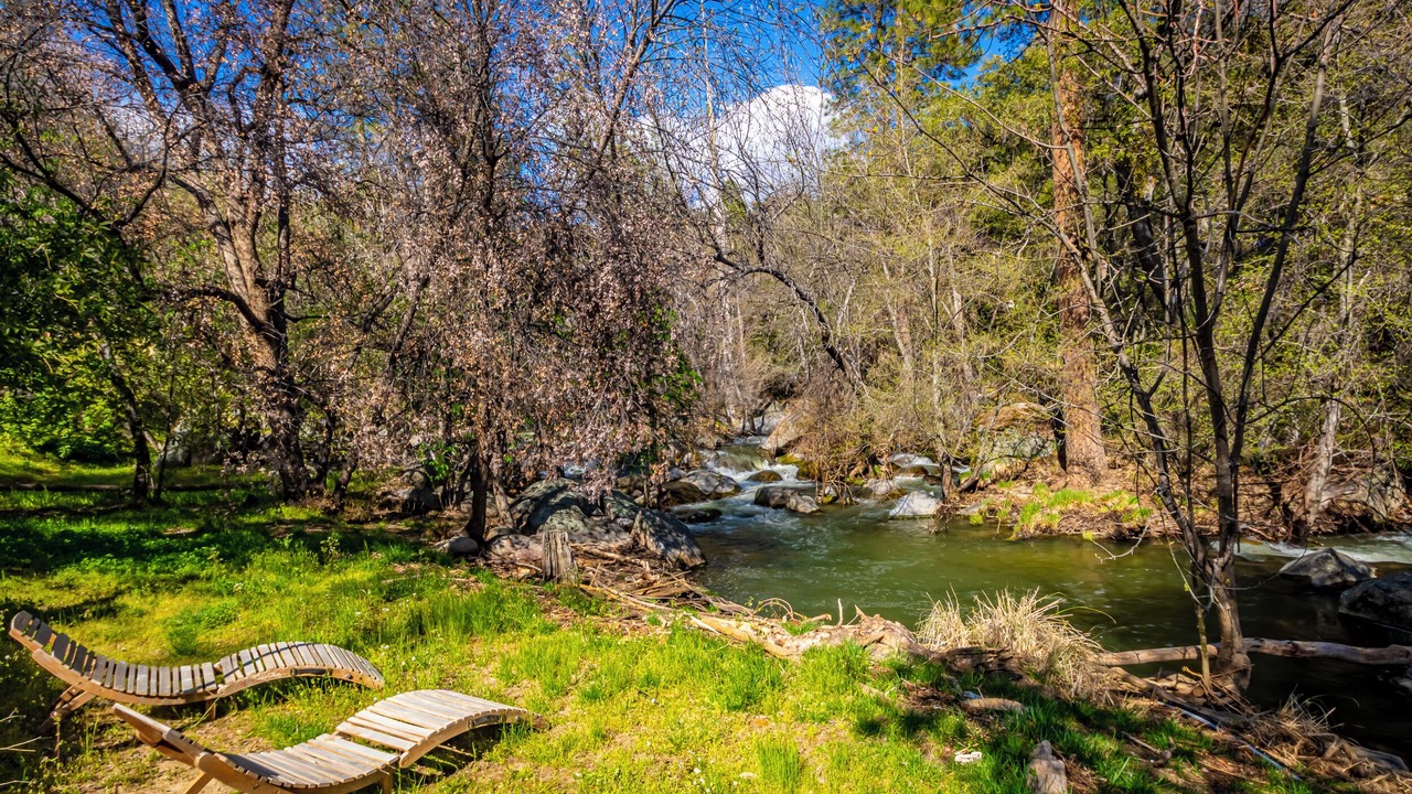 Photo of Outdoor in Yosemite Forks