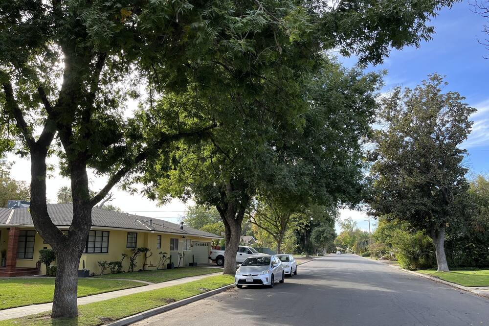 Photo of Others in Raisin