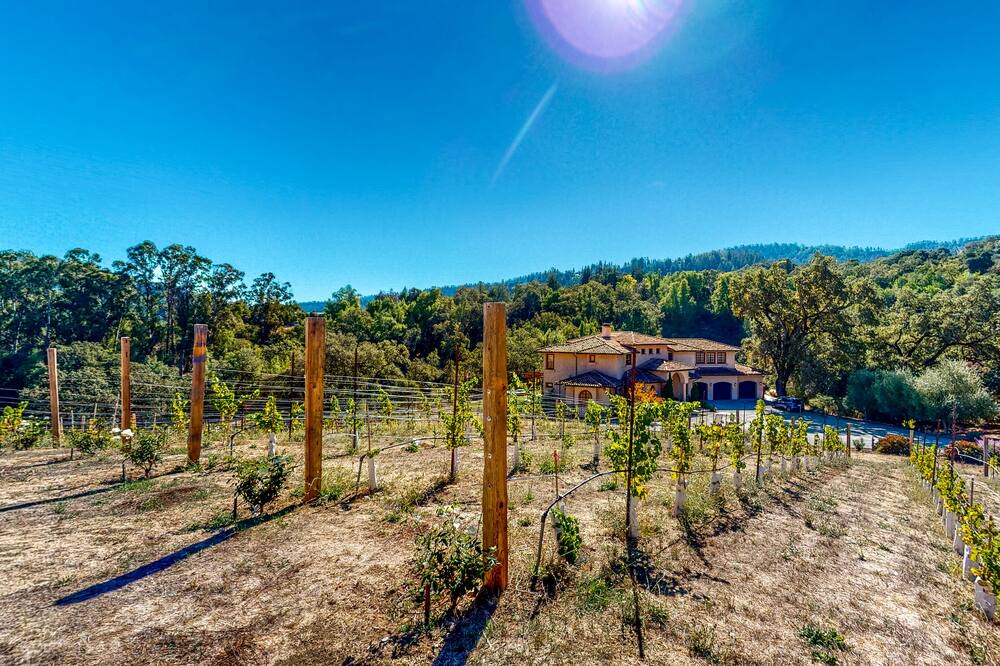 Photo of Others in Los Gatos