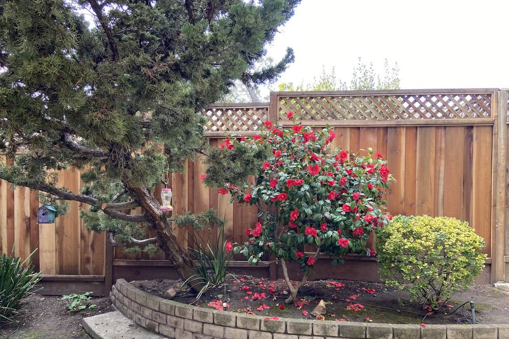 Photo of Outdoor in Castro Valley