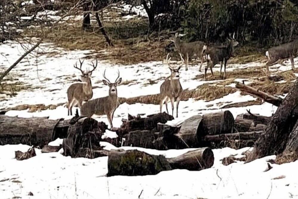 Photo of Outdoor in Coarsegold