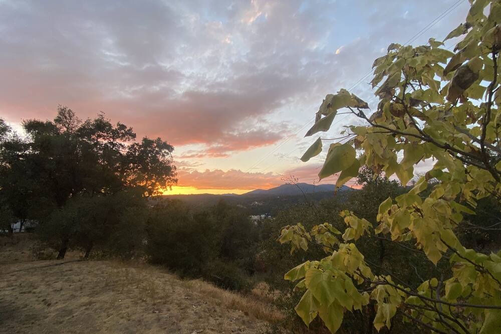 Photo of Outdoor in North Fork