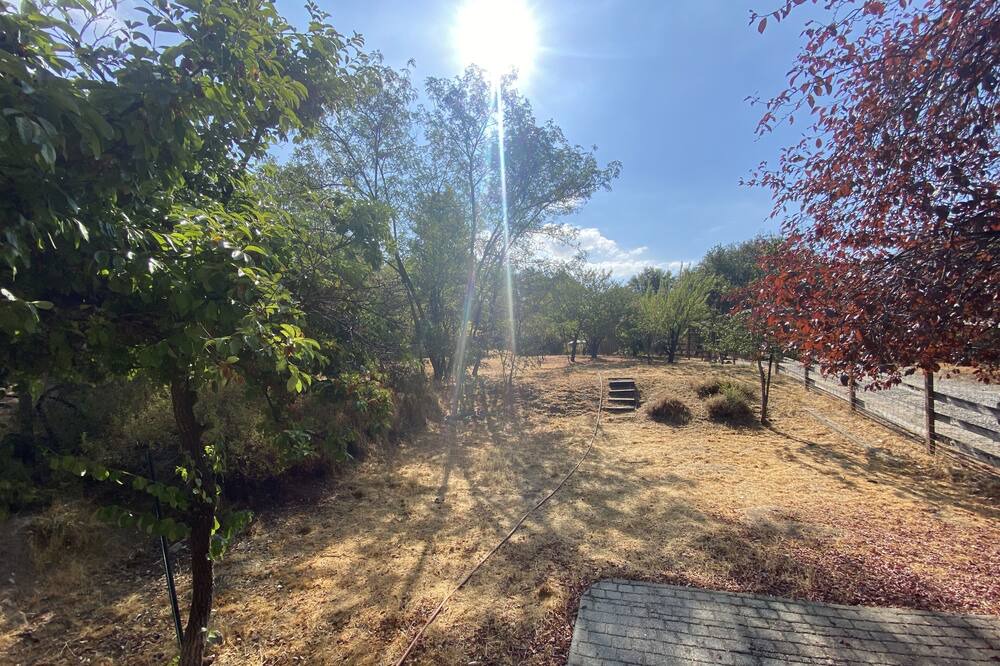 Photo of Outdoor in North Fork