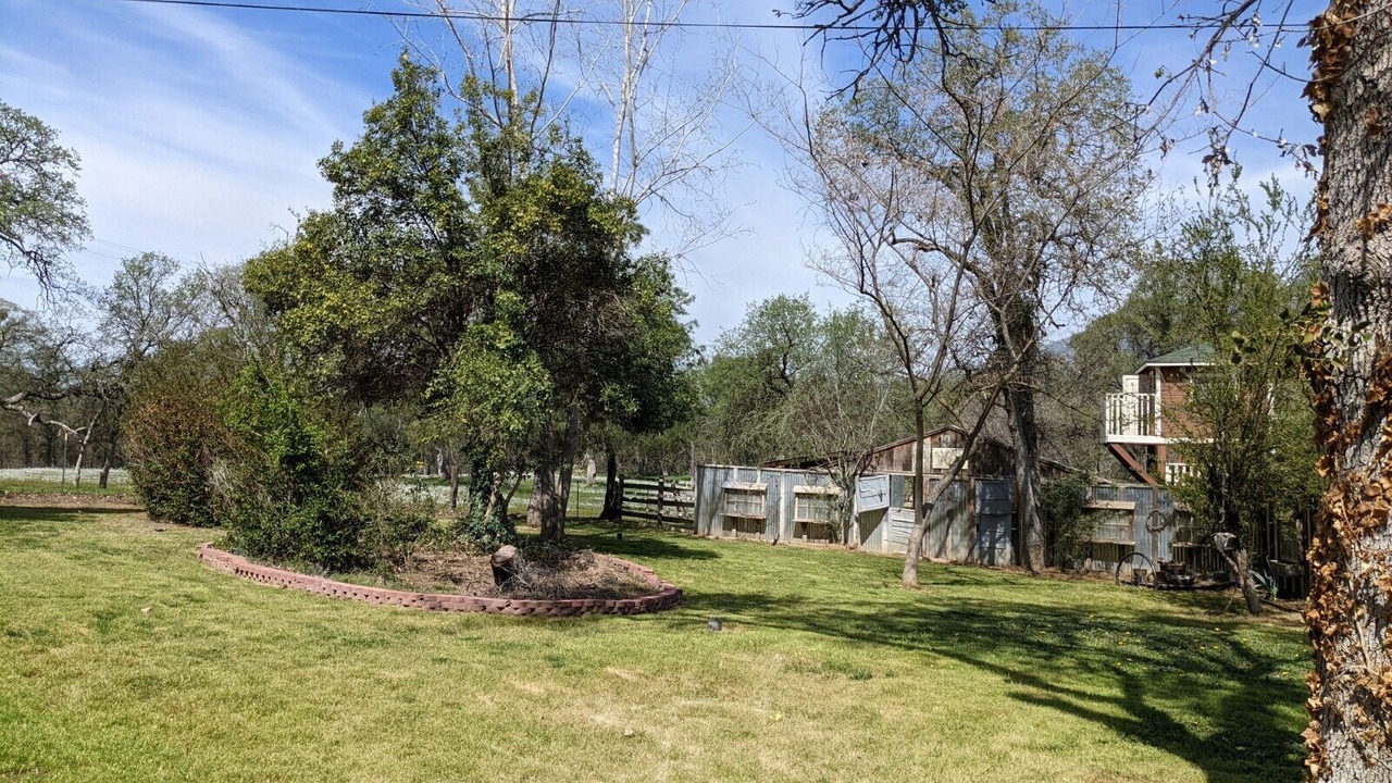 Photo of Outdoor in Dunlap
