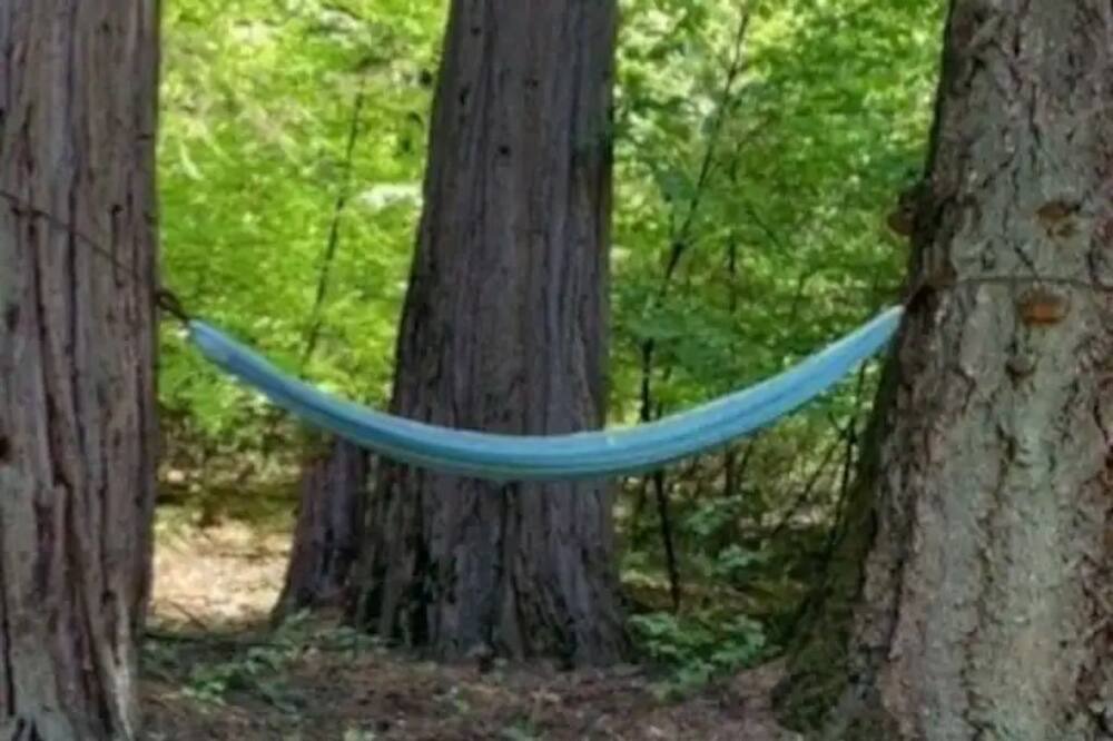 Photo of Others in Placerville