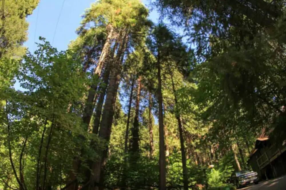 Photo of Outdoor in Placerville