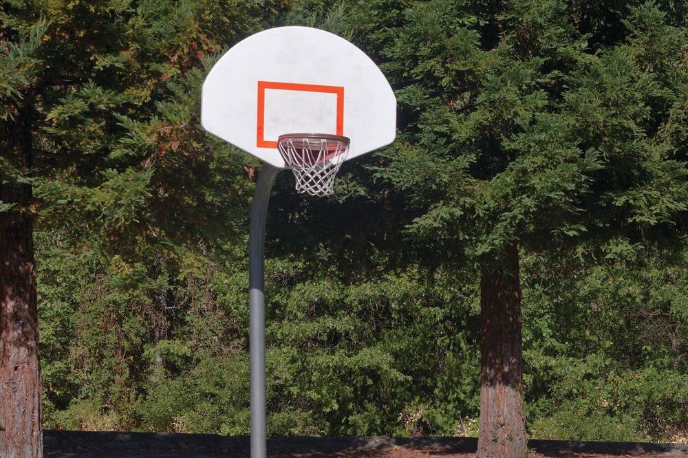 Photo of Others in Bass Lake