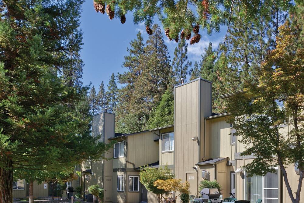 Photo of Outdoor in Bass Lake