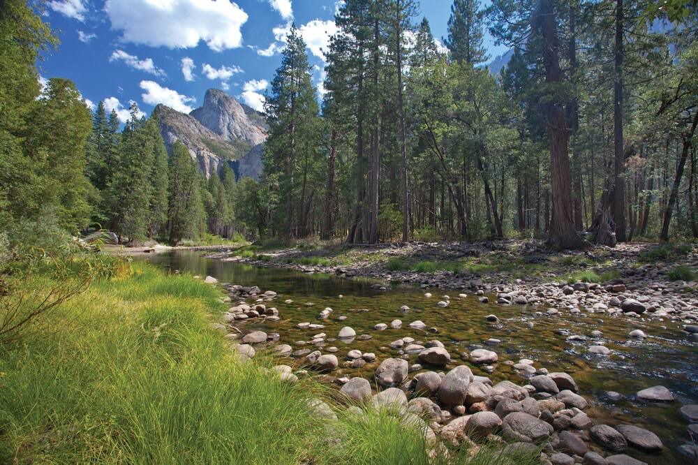 Photo of Outdoor in Bass Lake