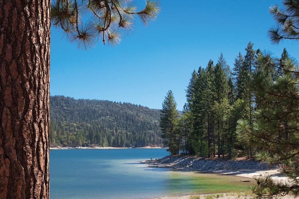Photo of Outdoor in Bass Lake