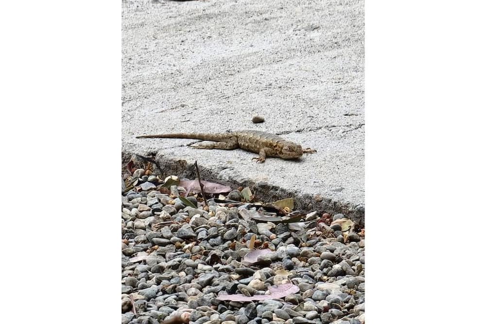 Photo of Others in Stevinson