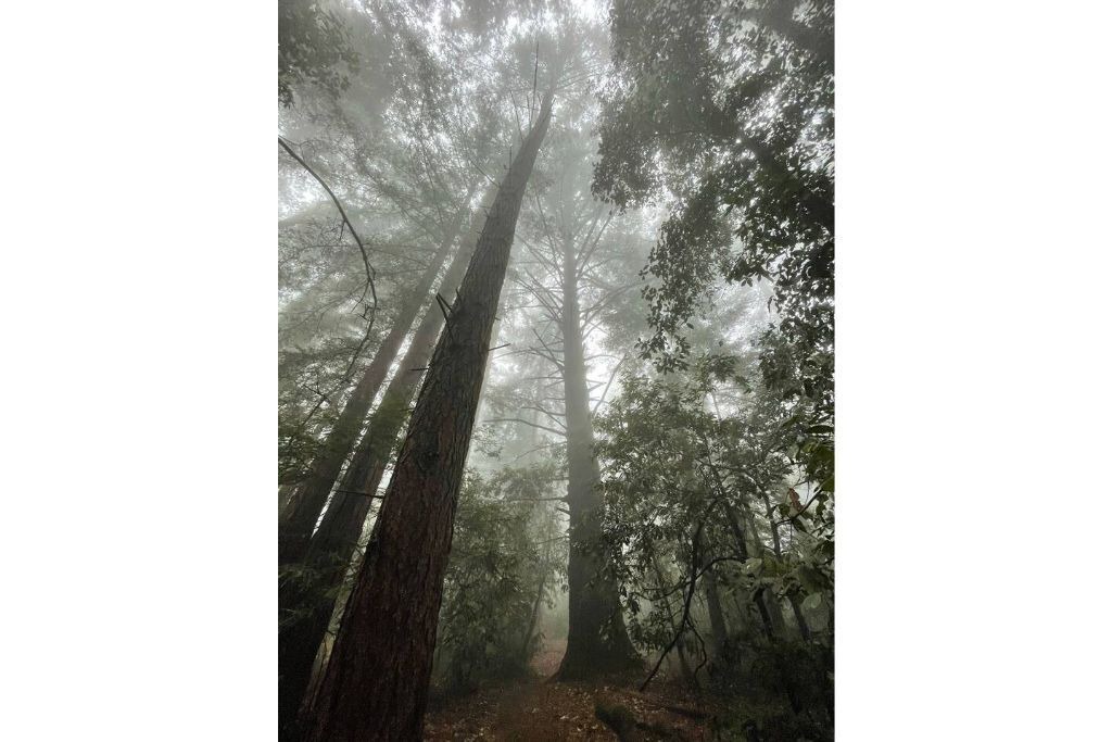 Photo of Others in Aptos