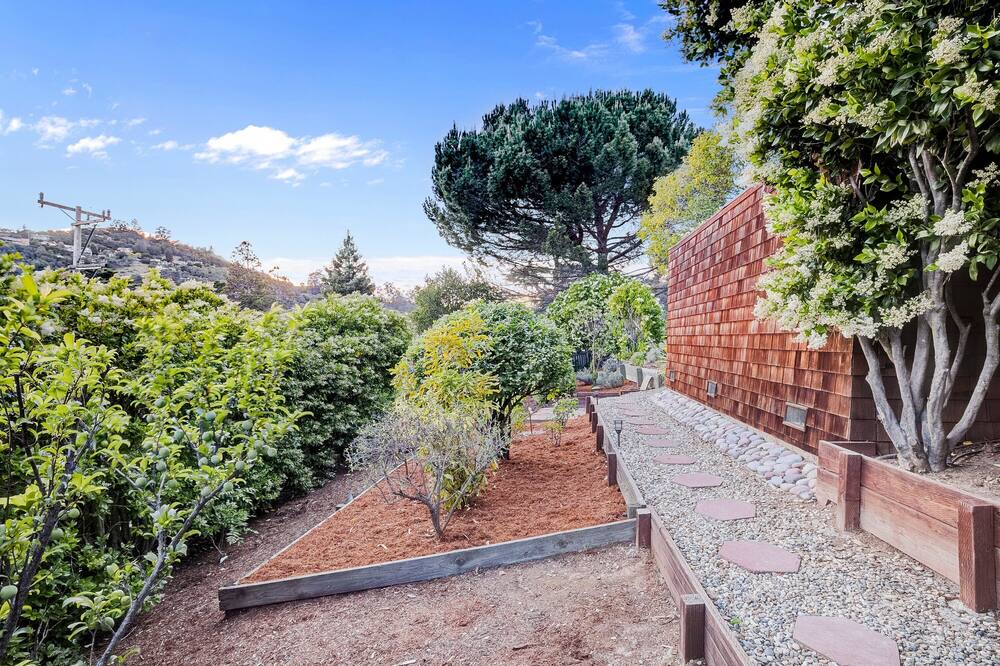 Photo of Outdoor in San Rafael