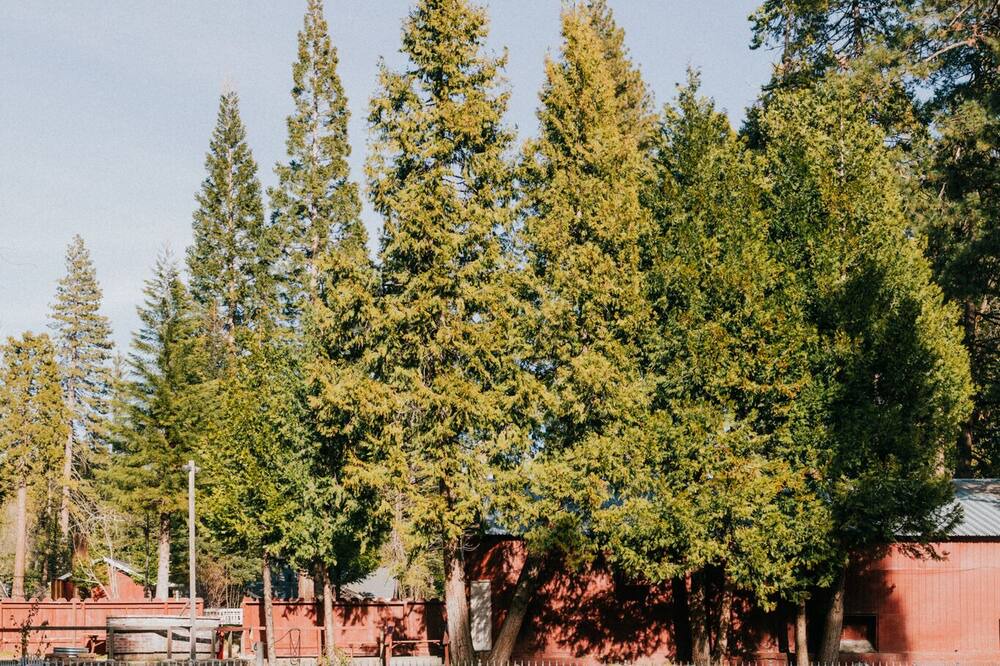 Photo of Outdoor in Long Barn