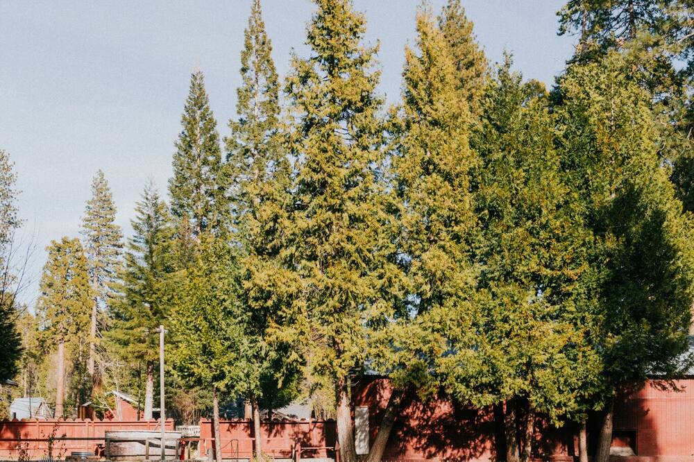 Photo of Outdoor in Long Barn