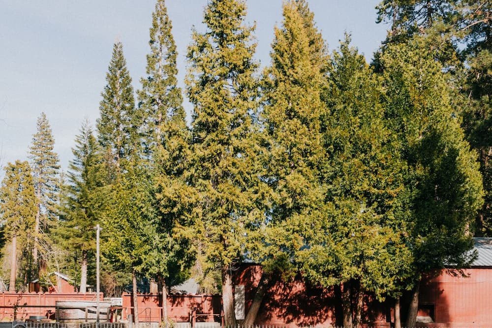 Photo of Outdoor in Long Barn