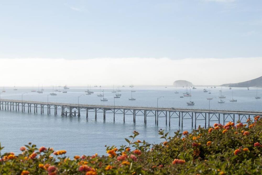 Photo of Others in Avila Beach