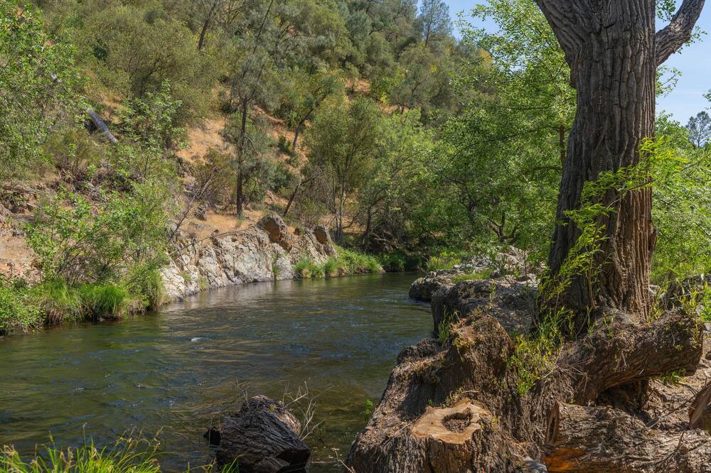 Photo of Others in Rancho Calaveras