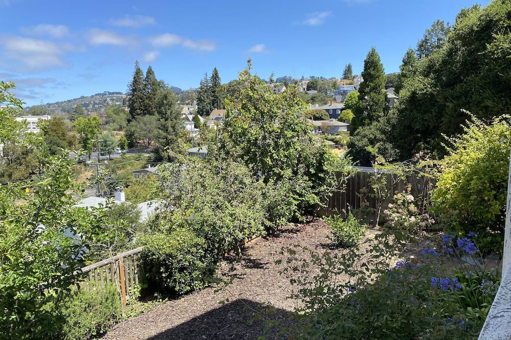 Photo of Outdoor in Upper Rockridge