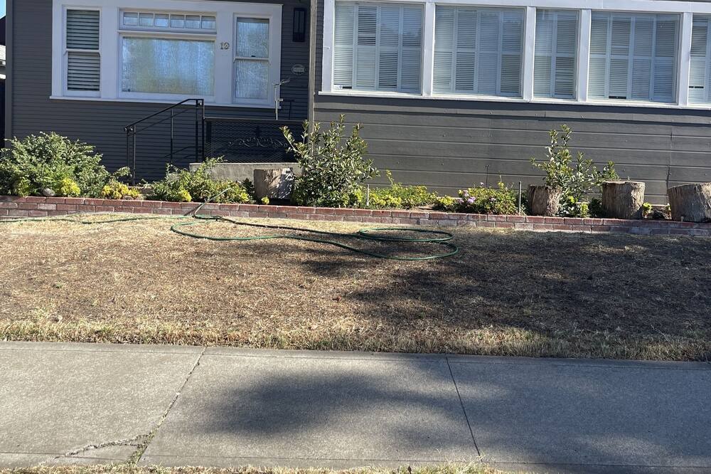 Photo of Outdoor in Stockton