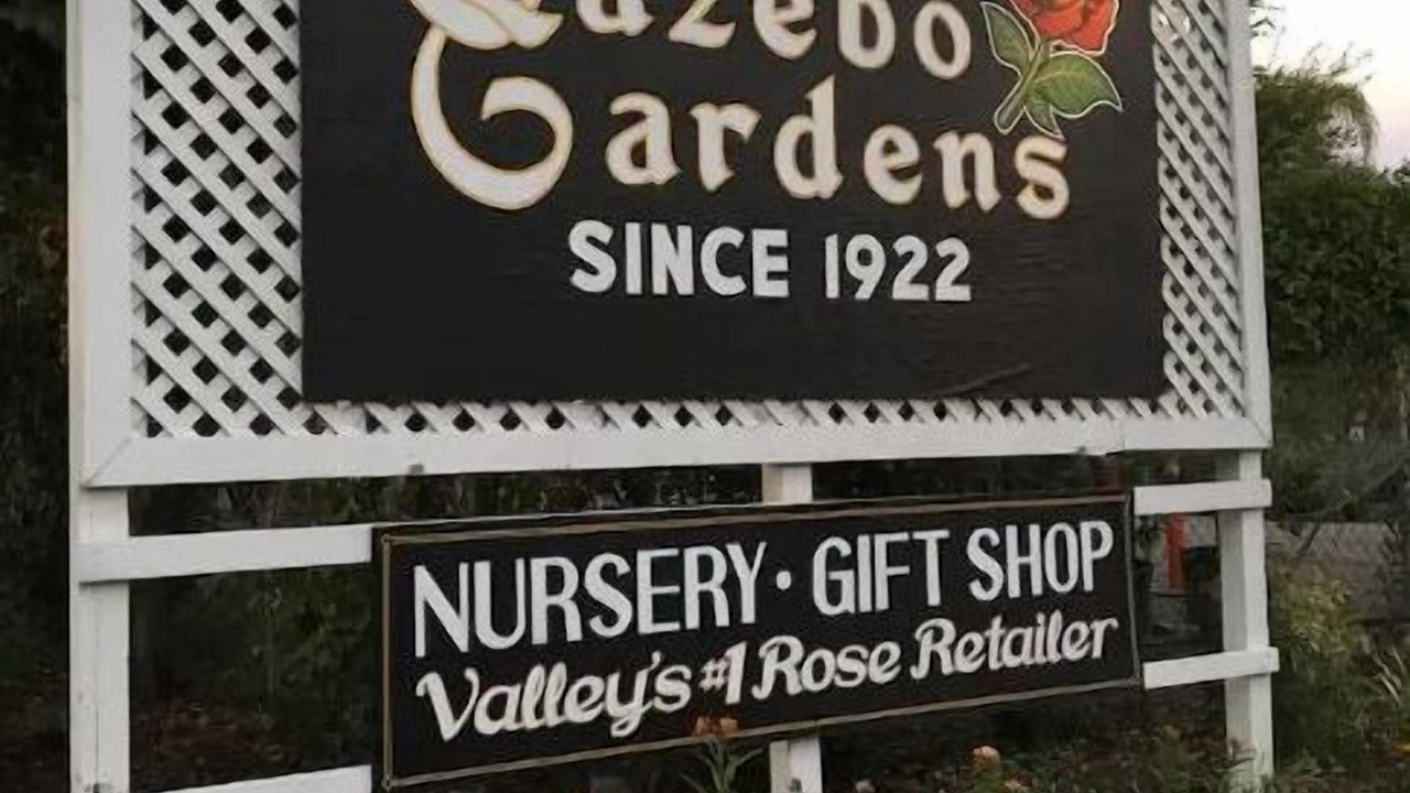 Photo of Outdoor in Raisin
