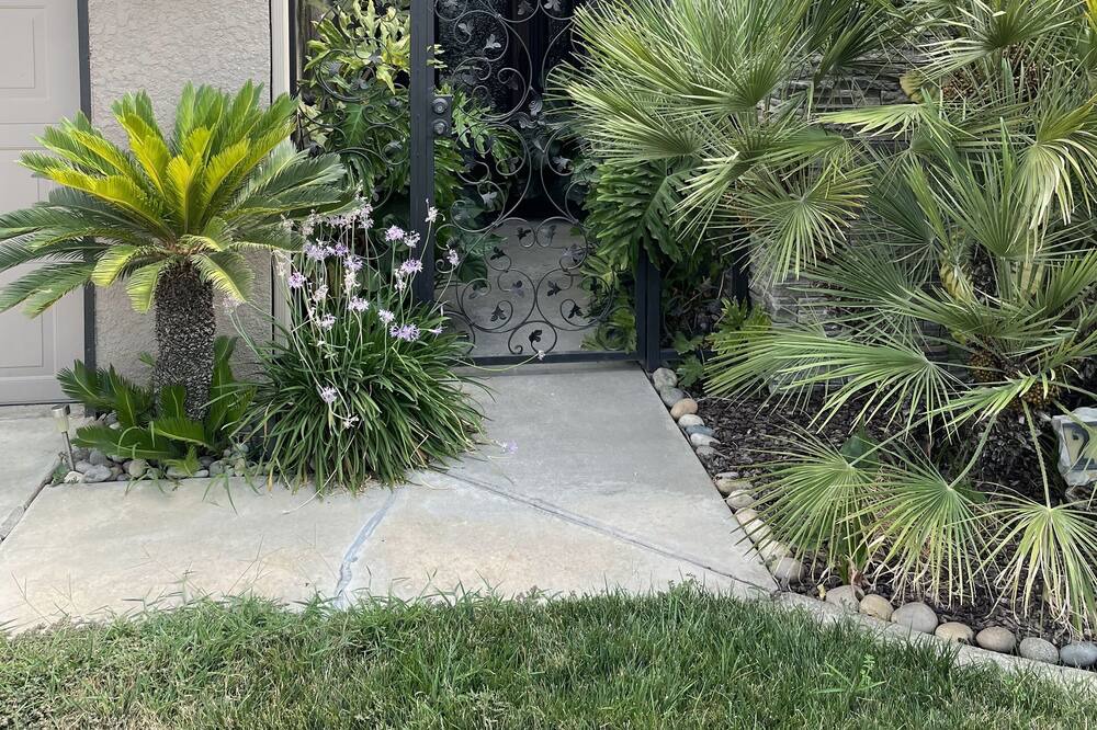 Photo of Outdoor in Visalia